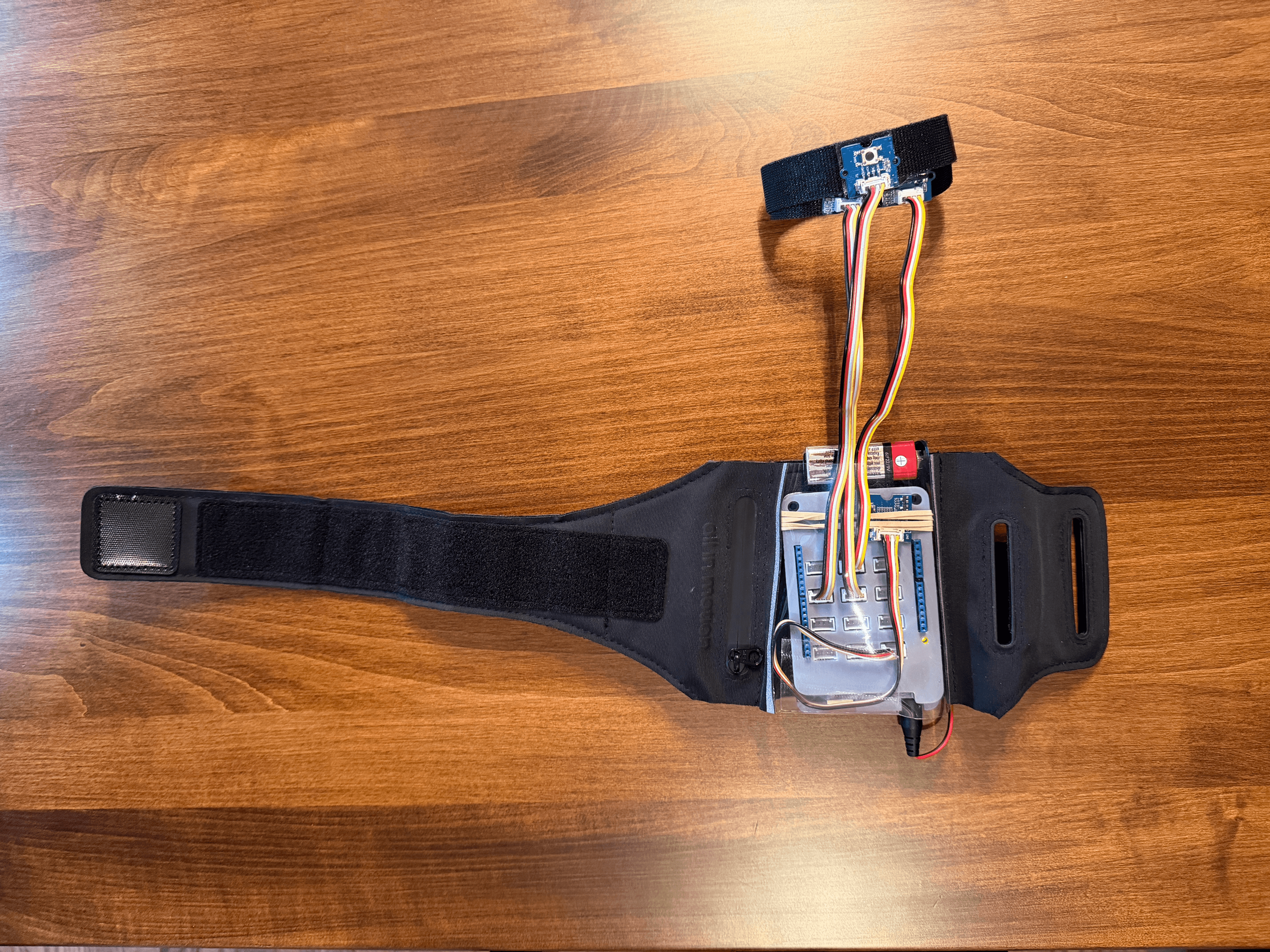 Wearable Prototype